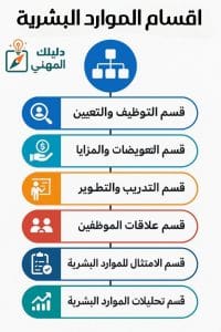 ما هي أهم أقسام الموارد البشرية؟